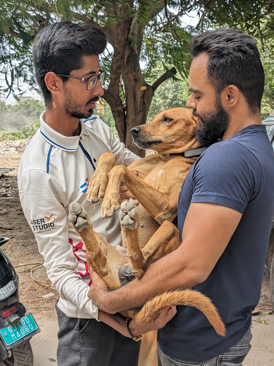 birthday celebration